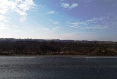 Teren de 63000 mp, în Lugojului - 6