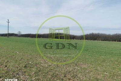 Teren de 21496 mp, în Saca - 6