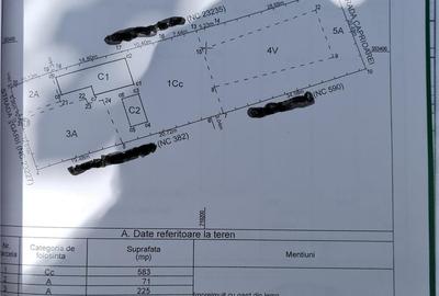 Casă cu 4 camere cu Teren 1578 Mp în Țăndărei - 4