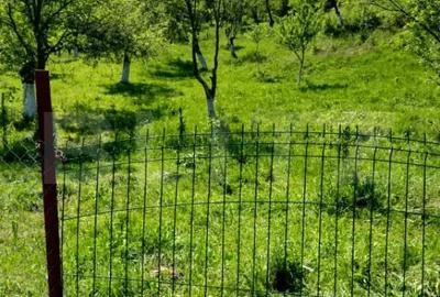 Teren în Stremț - 3