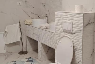 Sacalaz - casa de vanzare - 8