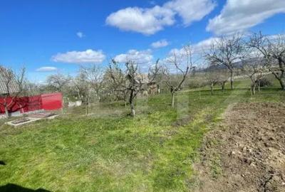 Casă cu 3 camere cu Teren 3000 Mp în Central - 11