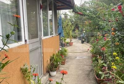 Casa 4 camere, 790 mp teren, zona Bariera Vilcii - 12