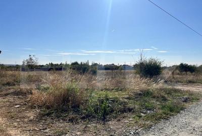 Teren de 500 mp, în Central