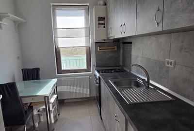 Apartament cu 2 camere decomandat, mobilat în Chișoda - 7