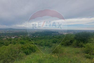 Teren intravilan in Oradea, Str. Piatra Craiului, Bihor - 5