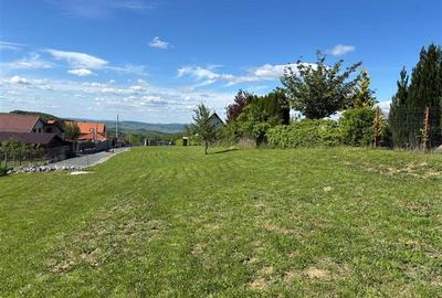 Teren Construcții intravilan de 1000 mp, în Sălicea - 2