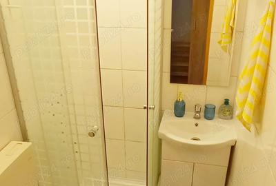 Proprietar inchiriez garsoniera Calea Aradului Proprietar inchiriez garsoniera Calea Aradului - 10