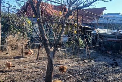 Casă cu 4 camere cu Teren 447 Mp în Pipera - 2