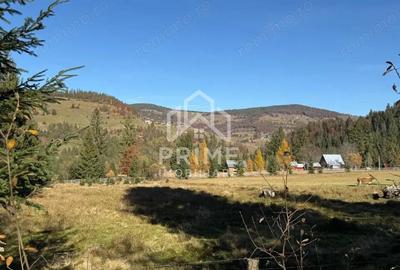 Teren de 500 mp, în Galbena - 6