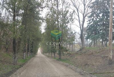 Teren Petrachioaia - deschidere la Lac 4,4Ha - 9
