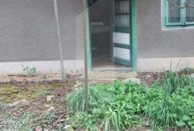 Blitz va ofera spre vanzare o casa cu teren generos in Cermei - 8