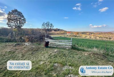 Casa de , 4 camere, Calea Mare, Bihor - 8