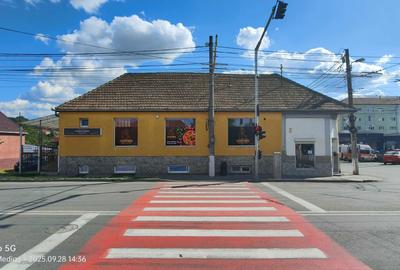 Spațiu comercial, de 50 mp, în Sebeș - 3