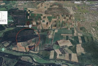 Giroc Teren 30.000mp PUZ APROBAT Pentru Case | Asfalt - Langa Padure - 6