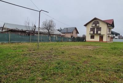 Margineni- Arcadie Septilici- Vila 6 camere- 2019- 3 bai- teren 800 mp - 19