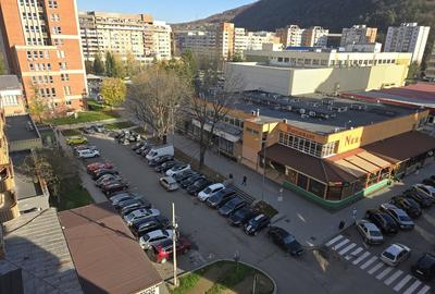 Resita Apartament cu o camera (garsoniera) ultracentral in Resita - 5