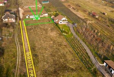 Teren Construcții intravilan de 560 mp, în Betfia - 4