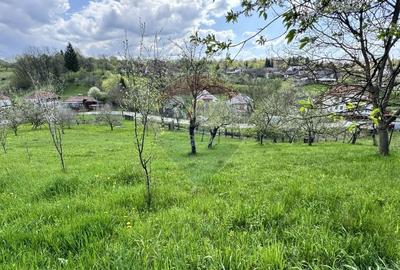 Teren Albesti Arges - Ultracentral Teren Albesti Arges - Ultracentral - 11