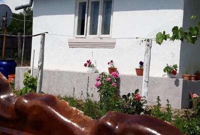 Casă cu 2 camere în Central - 1