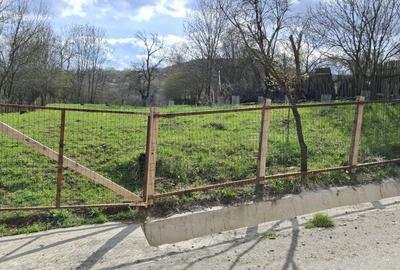 Spațiu comercial, în Valea Doftanei - 5