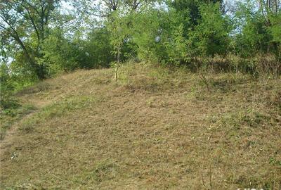 Teren de 1556 mp, în Călimănești - 5