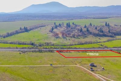 Teren 7786 mp/Cur?i construc?ii/Benzinarie - 3