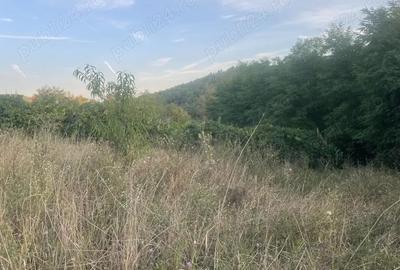 Casă cu 2 camere în Ormeniș - 13