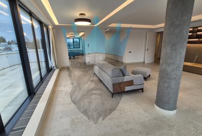 Penthouse 4 Camere Kiseleff Bucuresti - 4