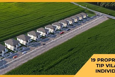 Teren Intravilan Constructii de 12.300 mp, Cu Deschidere la Sosea Asfaltata - 3