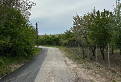 Teren de 570 mp, în Petrăchioaia - 10