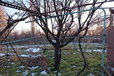 Casă cu 4 camere în Mihălceni - 1