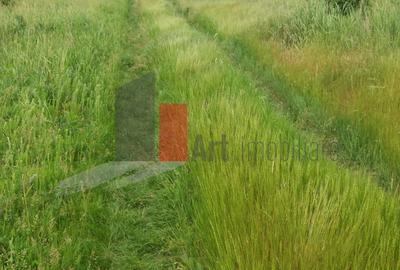 Teren de 3000 mp, în Central - 19