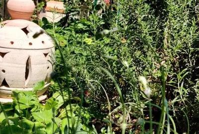 Casă cu 6 camere cu Teren 450 Mp în Aluniș - 2