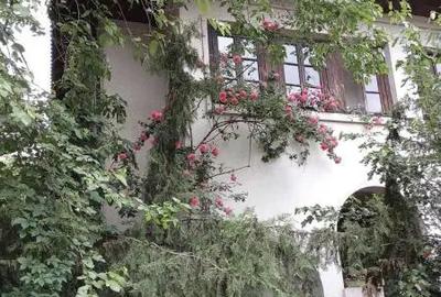 Vila 5 camere Zona Calarasi - 8