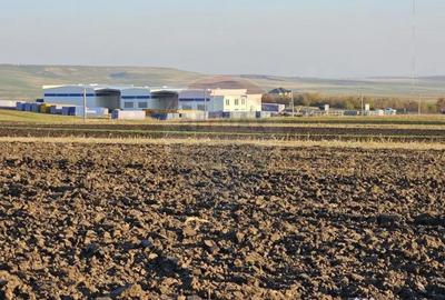 Teren de 6100 mp, în Stroiești - 2