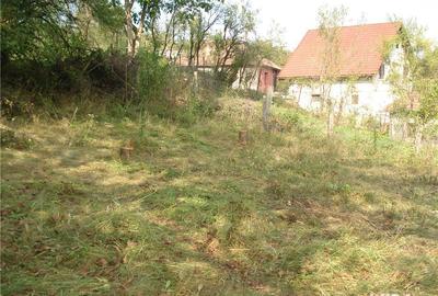 Teren de 1556 mp, în Călimănești - 7