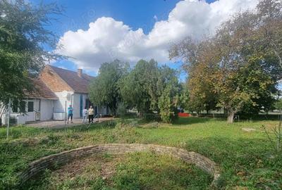 Casa de vanzare in Serbia, sat Vojvoda Stepa (10 minute de vama cu Jimbolia) - 9