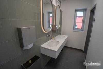 Birouri 216 mp Brancusi - 11