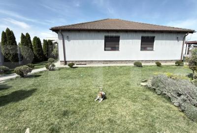 Casă cu 4 camere cu Teren 1105 Mp în Vetiș