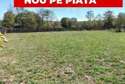 Teren intravilan de vanzare in Berevoiesti, Arges - 2542 mp -raul Bratia! - 3