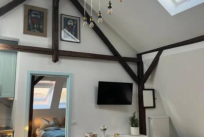 Aparament de inchiriat , centru vechi 100m - 4