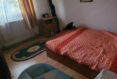 Casă cu 4 camere în Valea Bujorului - 1