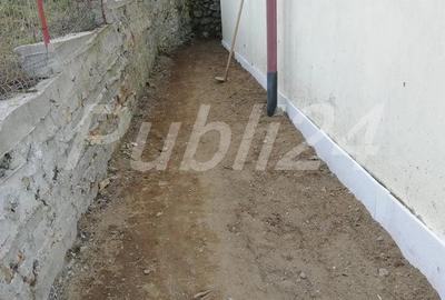 Casă cu 6 camere cu Teren 6000 Mp în Pietreni - 4