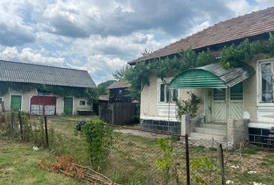 Casă cu 3 camere în Copăceni - 3