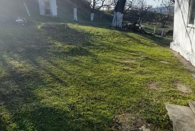 Casă cu 2 camere în Roșu - 1