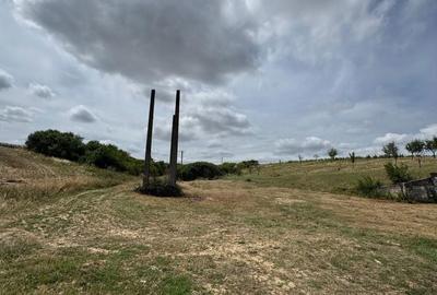 Teren de 15000 mp, în Biharia - 1