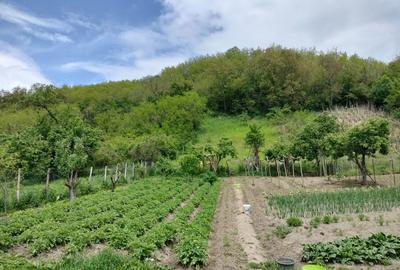 Casă cu 2 camere în Ciugud - 5