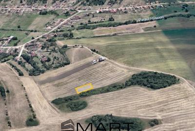 Teren extravilan 650mp Rusciori - 1