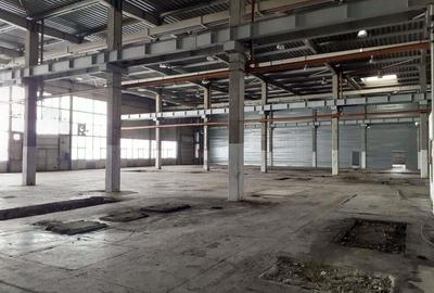 Spațiu comercial, de 20,000 mp, în Timișoara - 7